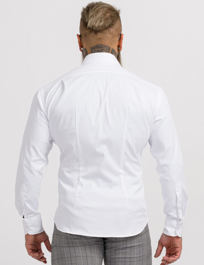 ARIES-174-Edit-scaled-1.jpg ARIES-174-Edit-scaled-1.jpg